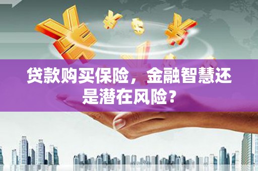 光泽贷款购买保险，金融智慧还是潜在风险？