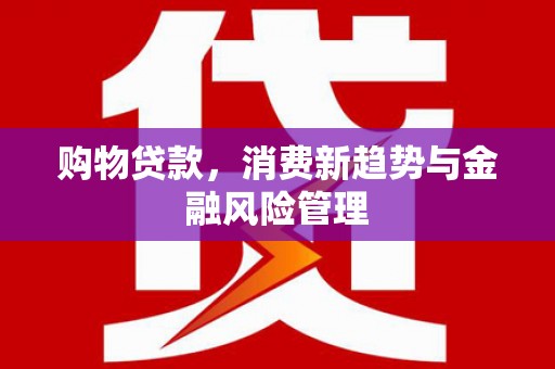 宁城购物贷款，消费新趋势与金融风险管理