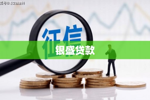 威宁银盛贷款
