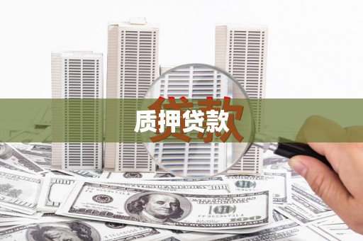 虞城质押贷款