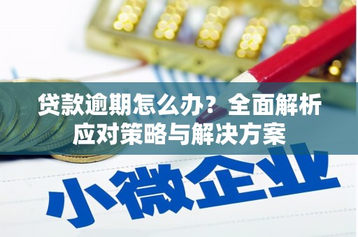 海东贷款逾期怎么办？全面解析应对策略与解决方案