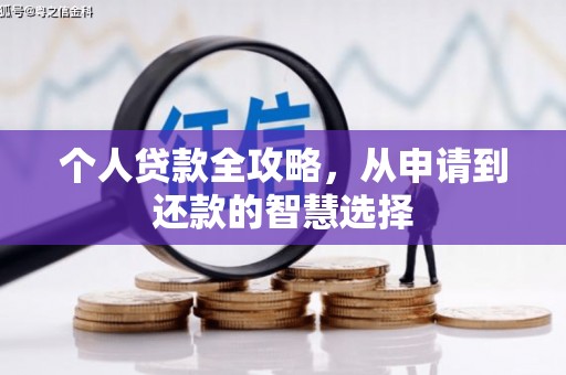 普格个人贷款全攻略，从申请到还款的智慧选择