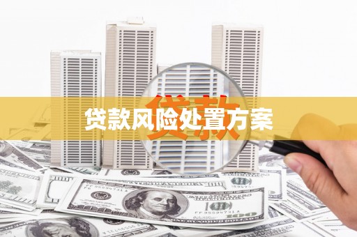 宁晋贷款风险处置方案