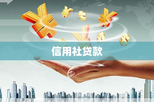 成华信用社贷款