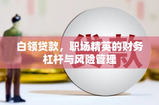 柳东白领贷款，职场精英的财务杠杆与风险管理