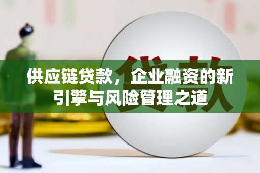 卧龙供应链贷款，企业融资的新引擎与风险管理之道