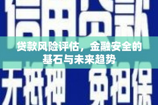 唐县贷款风险评估，金融安全的基石与未来趋势
