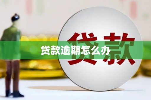 萨嘎贷款逾期怎么办