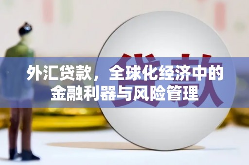 六枝外汇贷款，全球化经济中的金融利器与风险管理