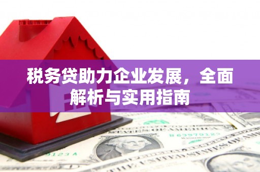 分宜税务贷助力企业发展，全面解析与实用指南
