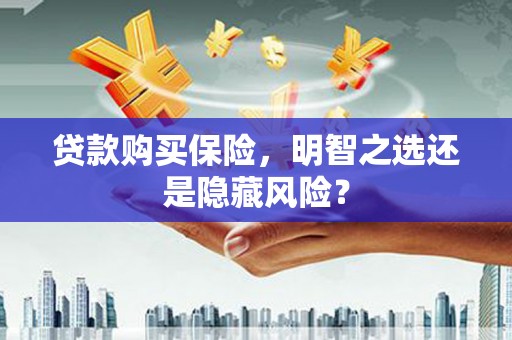 湖北贷款购买保险，明智之选还是隐藏风险？