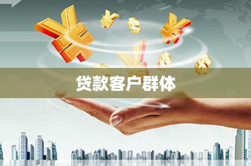 学甲贷款客户群体