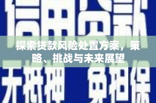 墨竹工卡探索贷款风险处置方案，策略、挑战与未来展望
