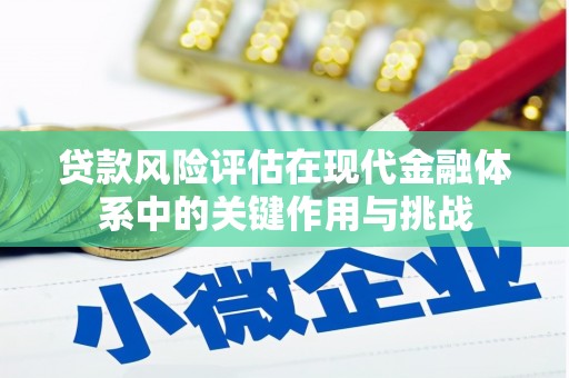 雨山贷款风险评估在现代金融体系中的关键作用与挑战