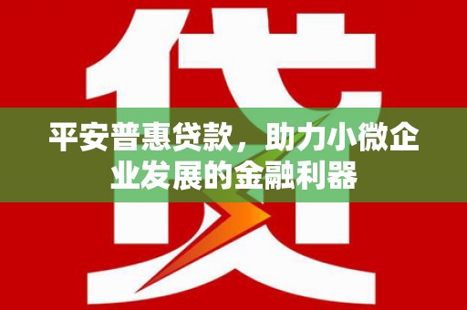 凤岗平安普惠贷款，助力小微企业发展的金融利器