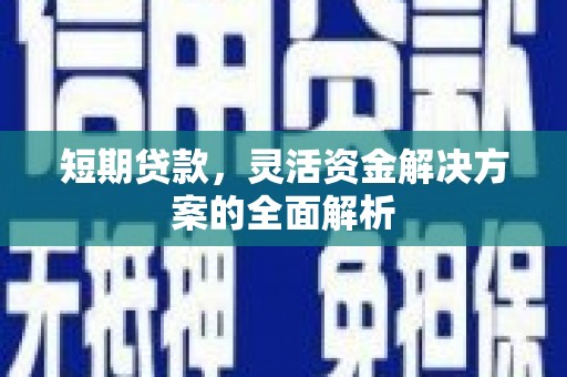 囊谦短期贷款，灵活资金解决方案的全面解析