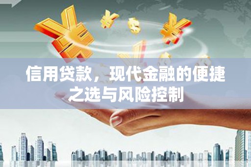 勐海信用贷款，现代金融的便捷之选与风险控制