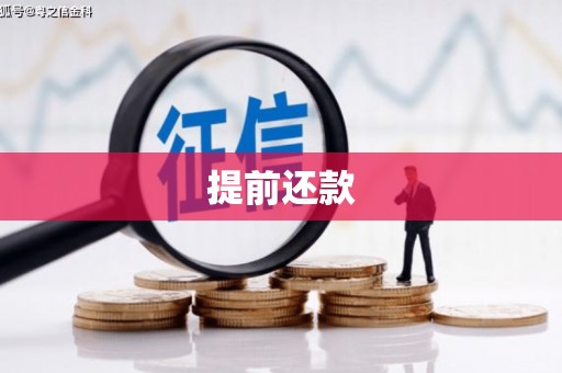 洮南提前还款