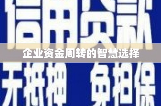 万丹企业资金周转的智慧选择