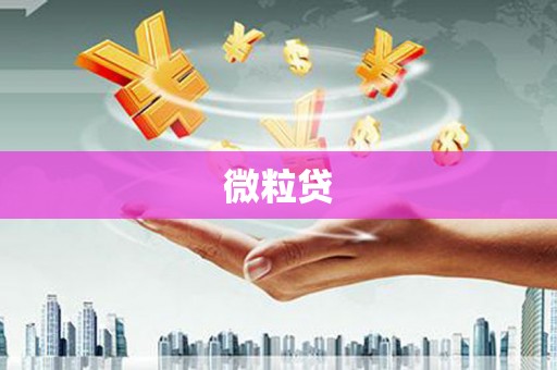 和田微粒贷