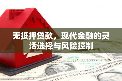 阳春无抵押贷款，现代金融的灵活选择与风险控制