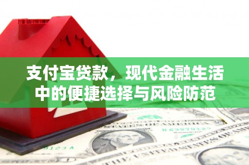 特克斯支付宝贷款，现代金融生活中的便捷选择与风险防范
