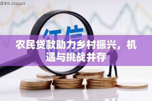 麦寮农民贷款助力乡村振兴，机遇与挑战并存