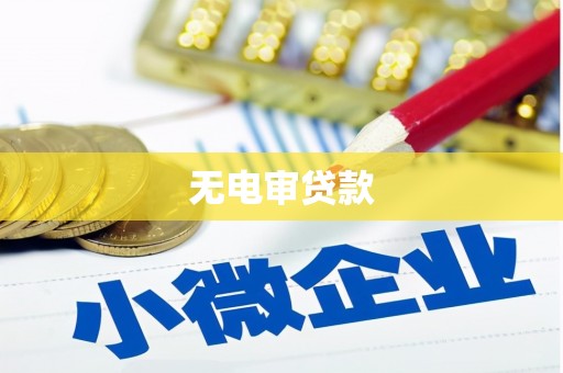 横县无电审贷款