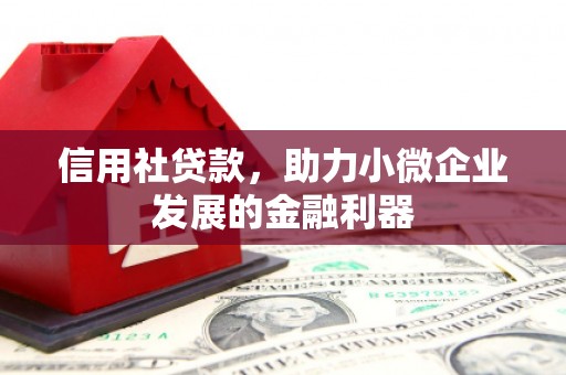 涧西信用社贷款，助力小微企业发展的金融利器