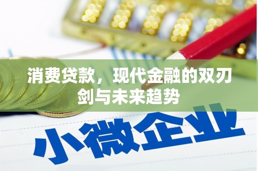 六枝消费贷款，现代金融的双刃剑与未来趋势