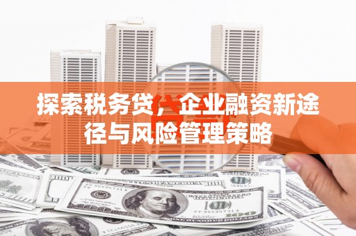 潍坊探索税务贷，企业融资新途径与风险管理策略