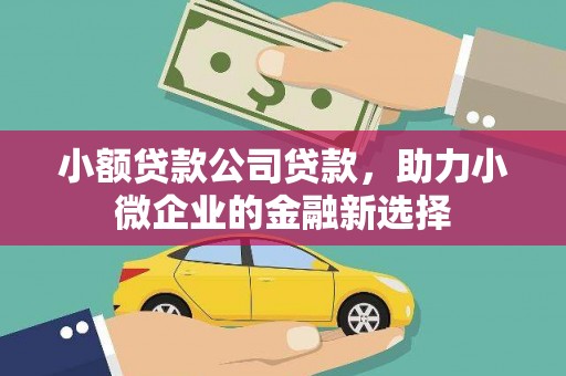 武川小额贷款公司贷款，助力小微企业的金融新选择