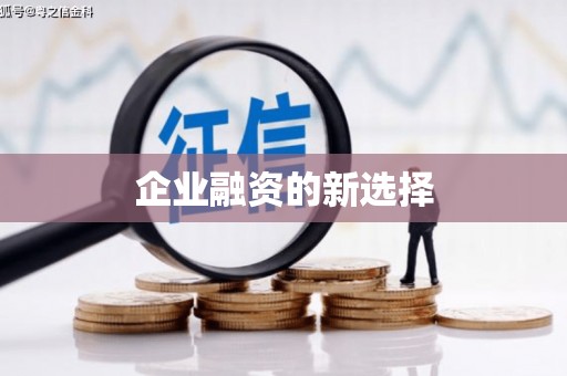 吴忠企业融资的新选择