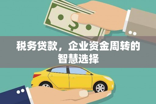 红寺堡税务贷款，企业资金周转的智慧选择