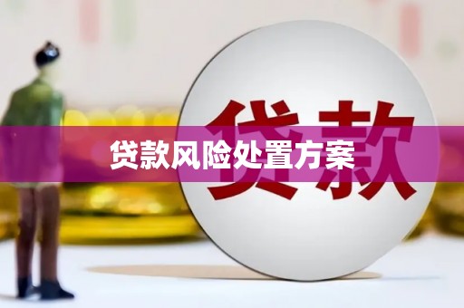 古县贷款风险处置方案