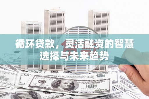 禄丰循环贷款，灵活融资的智慧选择与未来趋势