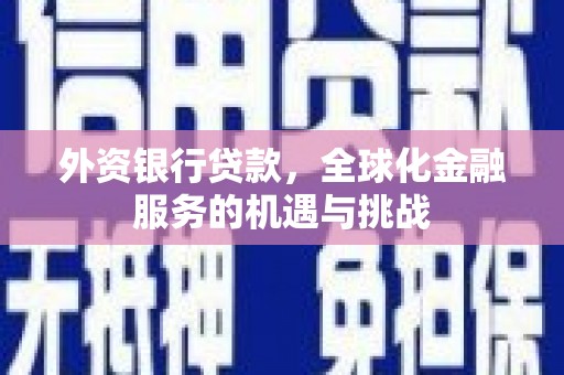 金阳外资银行贷款，全球化金融服务的机遇与挑战