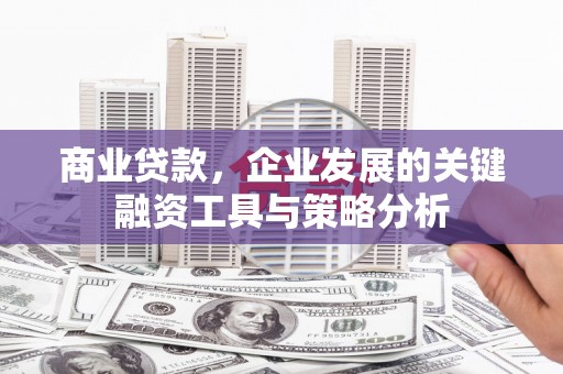 镇康商业贷款，企业发展的关键融资工具与策略分析