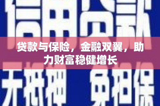 路环岛贷款与保险，金融双翼，助力财富稳健增长