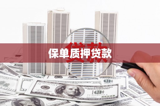 两当保单质押贷款