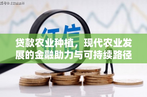隆阳贷款农业种植，现代农业发展的金融助力与可持续路径