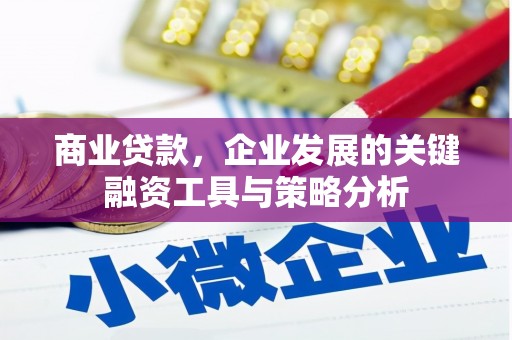 莿桐商业贷款，企业发展的关键融资工具与策略分析