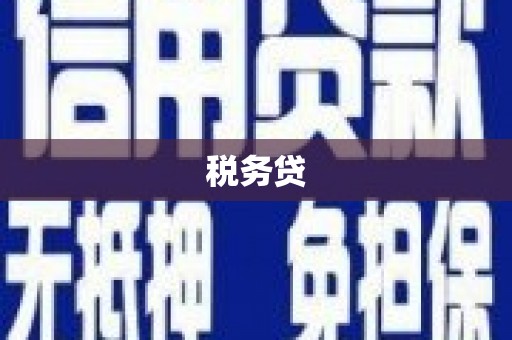 白山税务贷