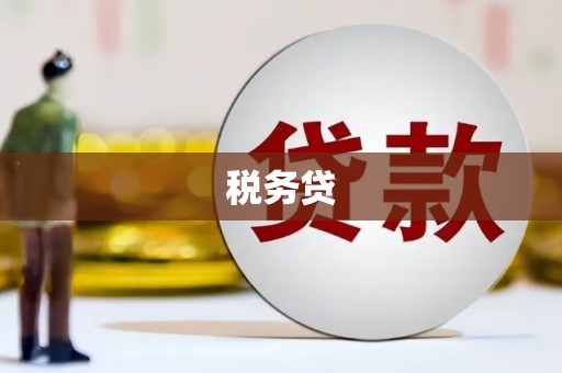 庄浪税务贷