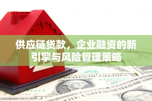 桓台供应链贷款，企业融资的新引擎与风险管理策略