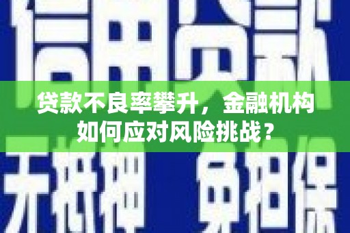 汉源贷款不良率攀升，金融机构如何应对风险挑战？