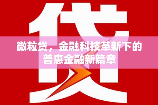 宁安微粒贷，金融科技革新下的普惠金融新篇章