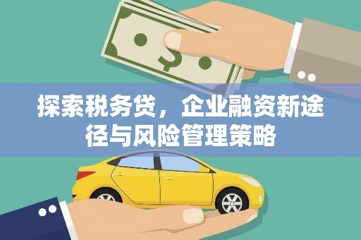 德昌探索税务贷，企业融资新途径与风险管理策略