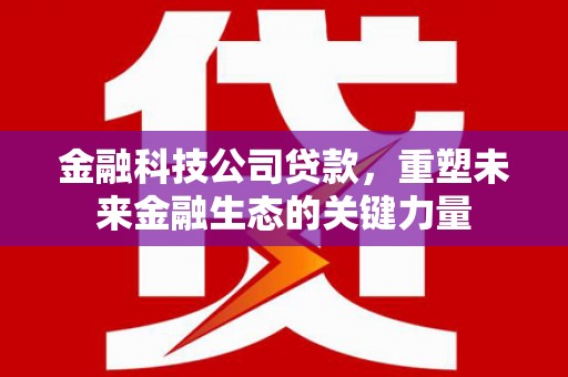 蔡甸金融科技公司贷款，重塑未来金融生态的关键力量