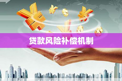 普湾新区贷款风险补偿机制